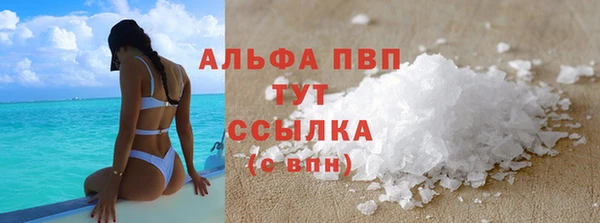 сатива Абаза