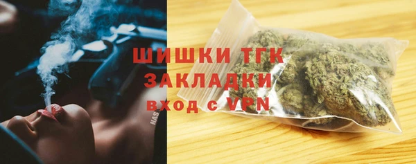 сатива Абаза