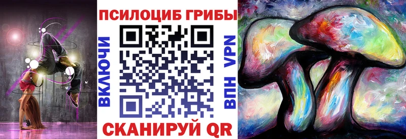 Псилоцибиновые грибы прущие грибы  где найти наркотики  Тарко-Сале 